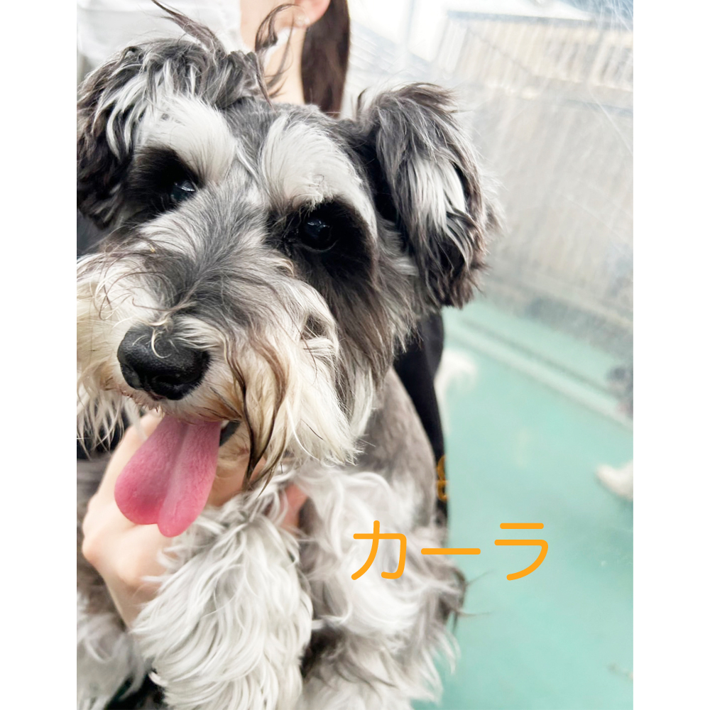 生徒が撮影してくれた写真②